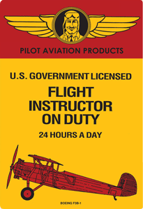 Flight Instructor